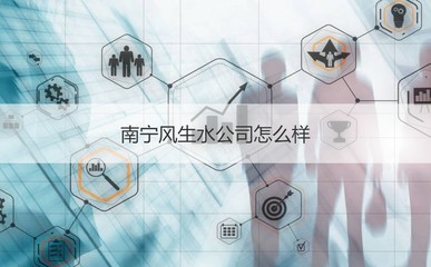 南寧風生水公司綜合概況與企業(yè)信息解析